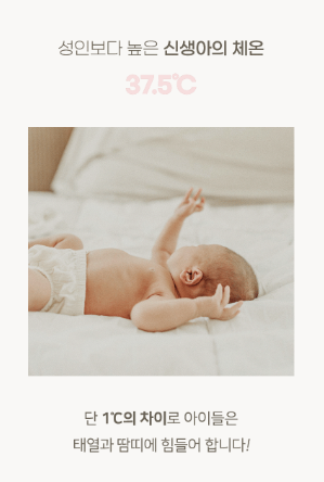 ALL4HOME Summer Duraron Pillow Cover Pad