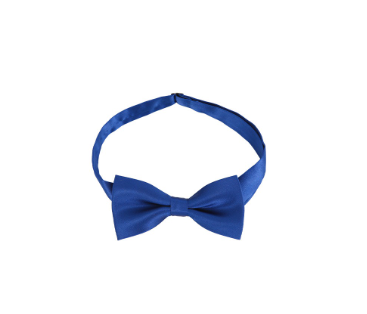 BEBEBEBE BIRTHDAY EDITION Blue ribbon bow tie
