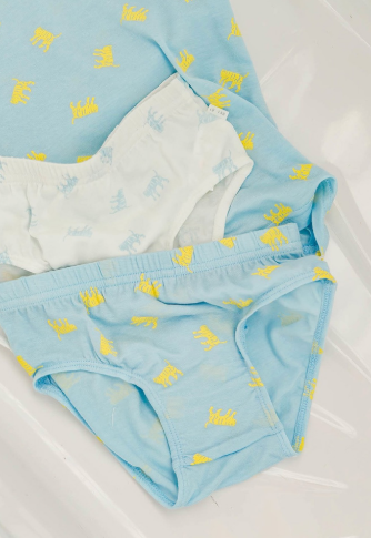 HEY A ! Boys Tiger Panties 2pcs Set