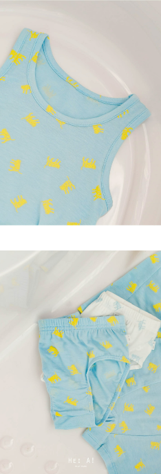 HEY A ! Boys Tiger Panties 2pcs Set