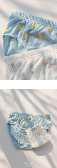 HEY A ! Boys Tiger Panties 2pcs Set
