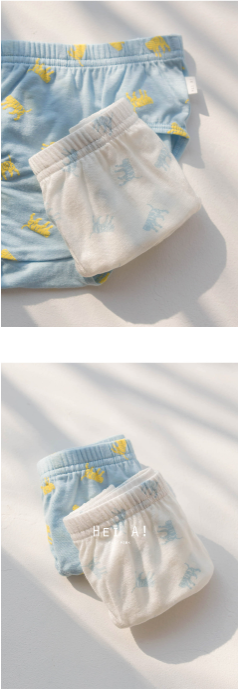 HEY A ! Boys Tiger Panties 2pcs Set
