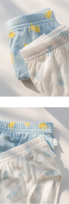 HEY A ! Boys Tiger Panties 2pcs Set