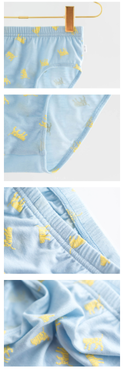 HEY A ! Boys Tiger Panties 2pcs Set
