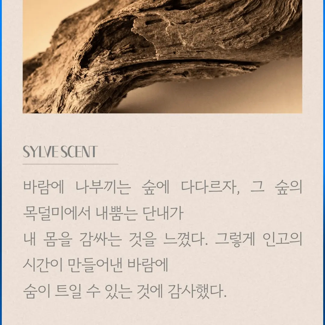 Le Jour Filter Sheet (Sylve)