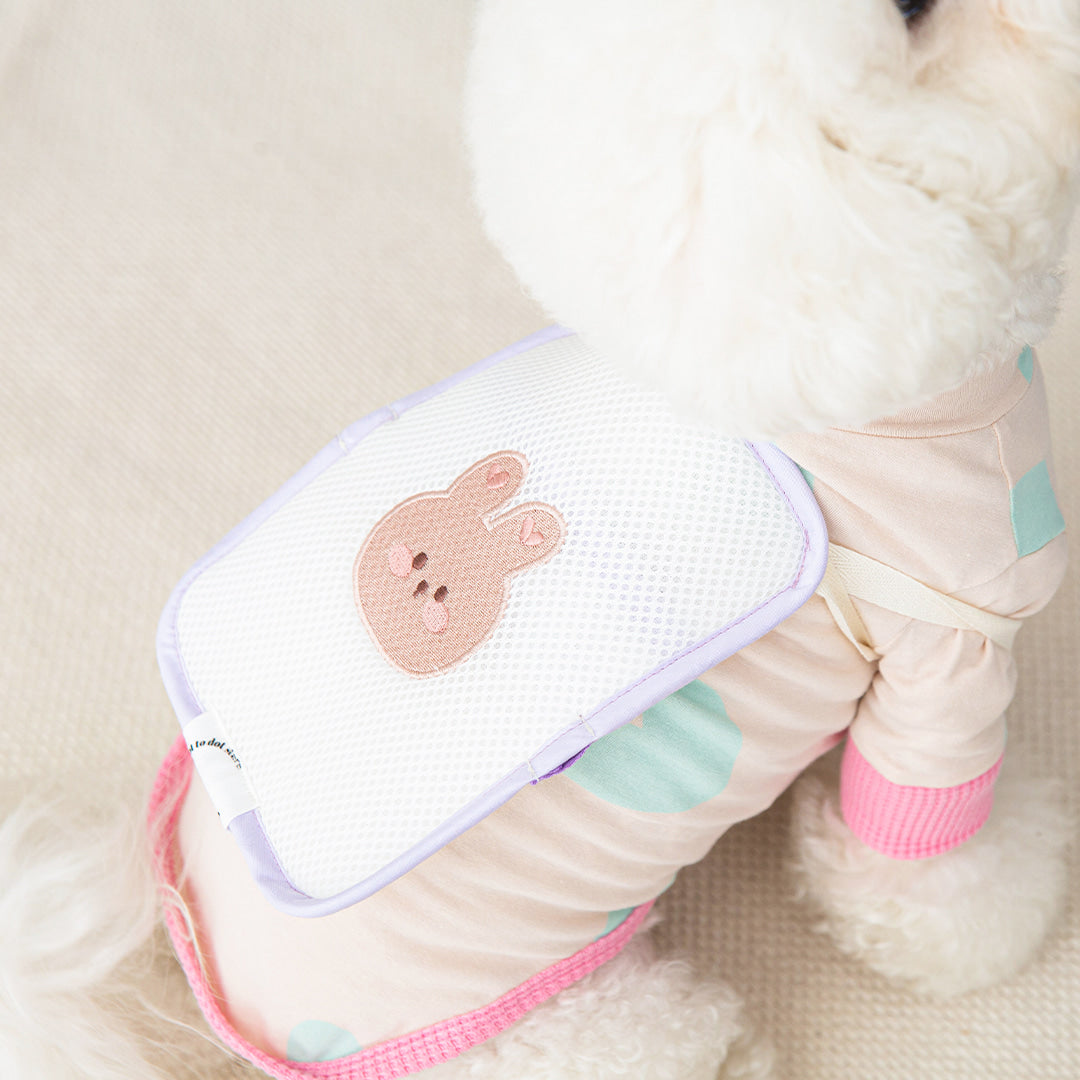 DOTTODOT ice backpack