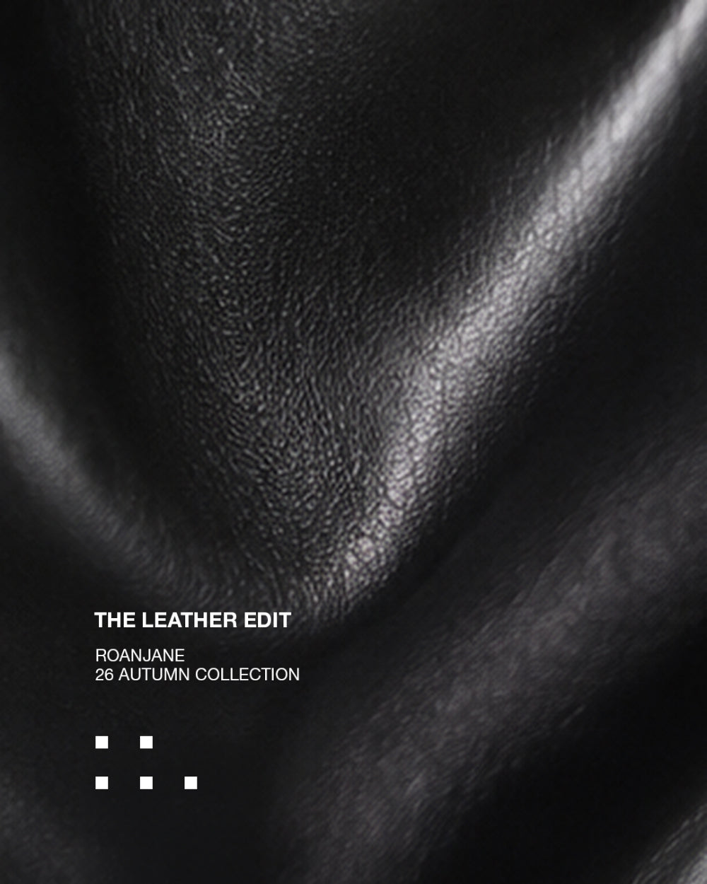 ROANJANE Stunning leather jacket
